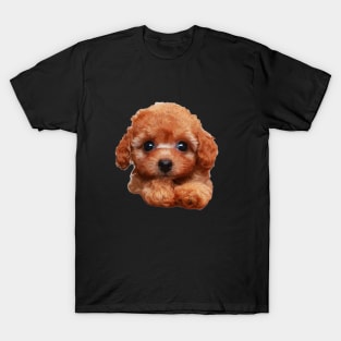 Poodle Puppy Dog - Teacup Mini Standard all are so cute! T-Shirt